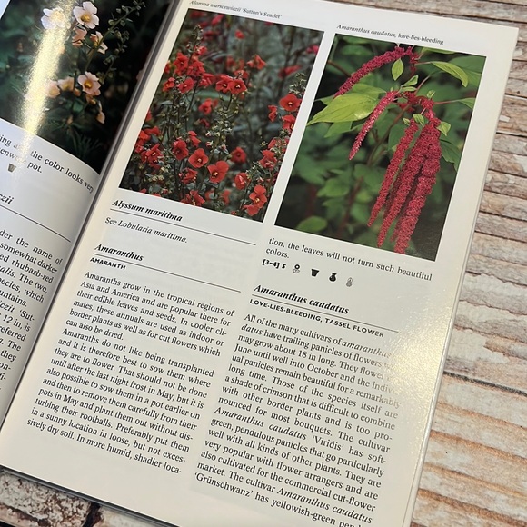 The Complete Encyclopedia Of Summerflowers - Picture 5 of 11